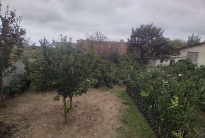 فروش زمین مسکونی شمال ۳۱۷ متر ساری روستای ماهفروز