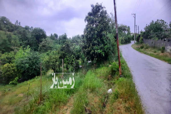 فروش زمین مسکونی باغ شمال ۱۴۰۰ متر بابل بابلکنار روستایی-2