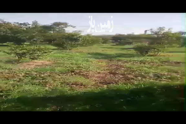 فروش زمین باغ شمال ۱۰۰۰ متر قائمشهر روستای سراجکلا-1