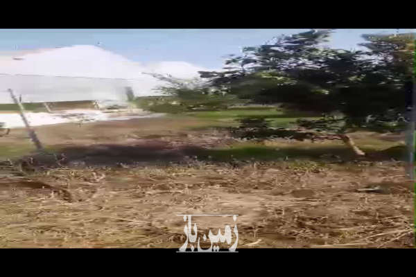 فروش زمین باغ شمال ۱۰۰۰ متر قائمشهر روستای سراجکلا-3