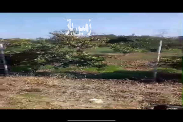 فروش زمین باغ شمال ۱۰۰۰ متر قائمشهر روستای سراجکلا-4