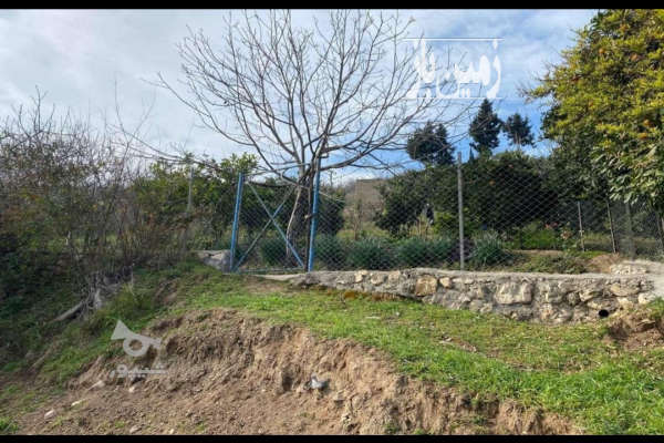فروش زمین باغ شمال ۱۰۰۰ متر بهشهر روستای اسیابسر-2