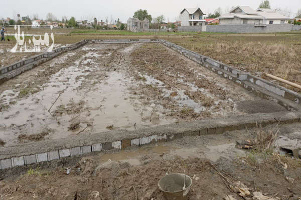 فروش زمین باغ شمال ۲۳۰ متر چمستان روستای سرکاج-2