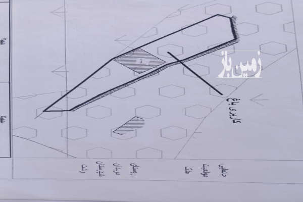 فروش زمین باغ گیلان ۵۰۰ متر خشکبیجار روستای مریدان-1