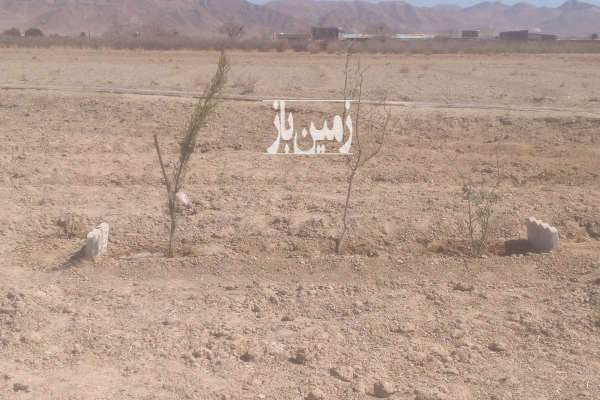 فروش زمین کشاورزی اصفهان ۳۵۰ متر شهرضا روستای جرم افشار-4