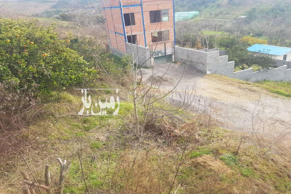 فروش زمین باغ شمال ۳۵۰ متر ساری روستای کردخیل-2