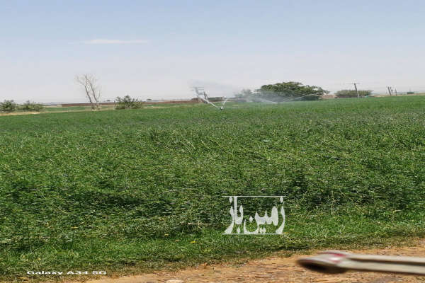 فروش زمین کشاورزی مرکزی ۵ هکتار خنداب روستای شرا-2