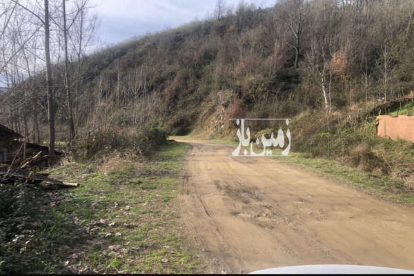 فروش زمین باغ کشاورزی گیلان ۱۰۰۰ متر لاهیجان روستای لیالمان-1