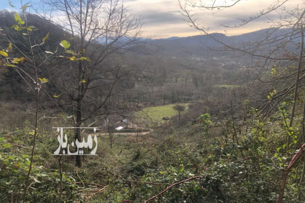 فروش زمین باغ کشاورزی گیلان ۱۰۰۰ متر لاهیجان روستای لیالمان-2