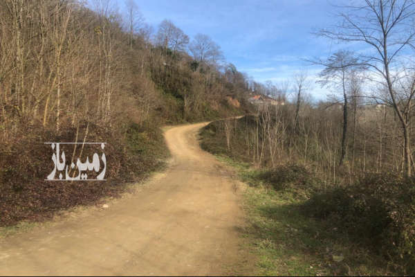 فروش زمین باغ کشاورزی گیلان ۱۰۰۰ متر لاهیجان روستای لیالمان-4