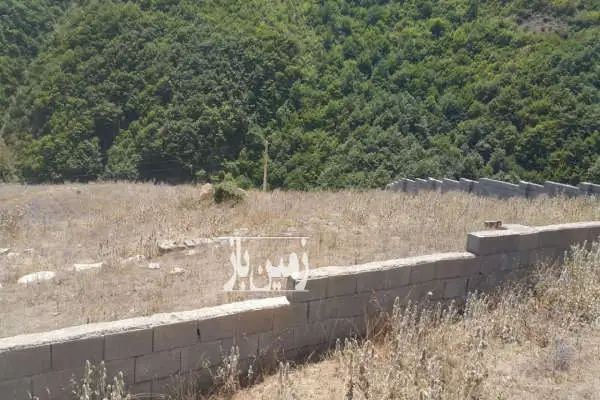 فروش زمین مسکونی شمال ۱۰۰۰ متر تنکابن جاده دوهزار روستای کلیشم - تصویر 4