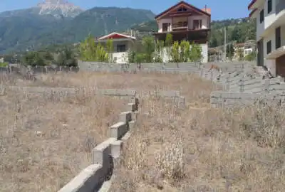 فروش زمین مسکونی شمال ۱۰۰۰ متر تنکابن جاده دوهزار روستای کلیشم