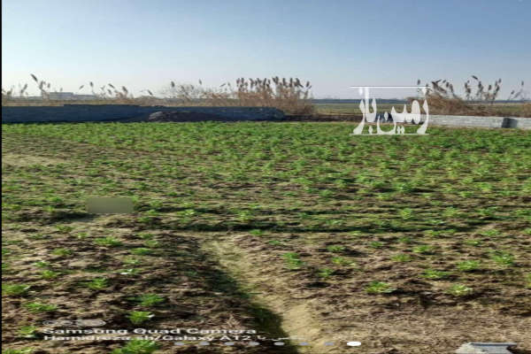 فروش زمین باغچه کشاورزی شمال ۴۹۸ متر بهنمیر روستای عربخیل-2