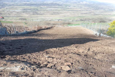 فروش زمین باغ شمال ۳۰۷ متر ساری روستایی