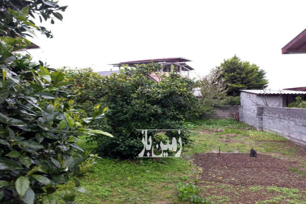 فروش زمین مسکونی شمال ۳۱۰ متر نوشهر کنار ابشار تنگه دار-4