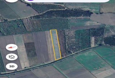فروش زمین باغ شمال ۶۰۰۰ متر بهشهر روستای عسگراباد