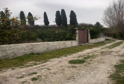 فروش زمین باغ کشاورزی شمال ۱۰۰۰ متر ساری روستای دولت آباد