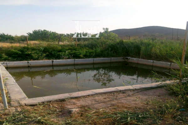 فروش زمین باغ کشاورزی قم ۶۴۵ متر سلفچگان روستای دیزیجان-2
