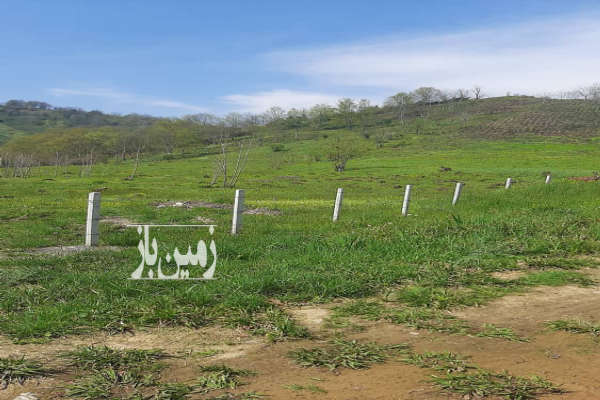 فروش زمین باغ گیلان ۸۱۳۵ متر لاهیجان-2