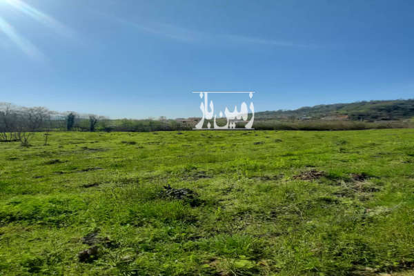 فروش زمین باغ گیلان ۸۱۳۵ متر لاهیجان-3