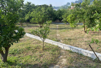 فروش زمین باغ شمال ۱۰۰۰ متر قائمشهر جاده نظامی روستای بورخیل