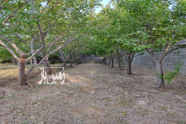 فروش زمین باغ خراسان رضوی ۱۰۰۰ متر مشهد گلبهار روستای به آباد-1