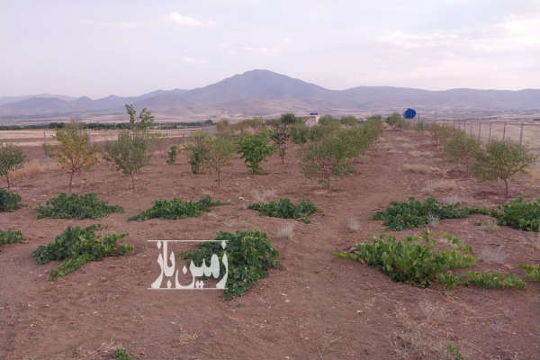 فروش زمین باغ مرکزی ۱۳۰۰ متر اراک روستای باموزج پرکله-1