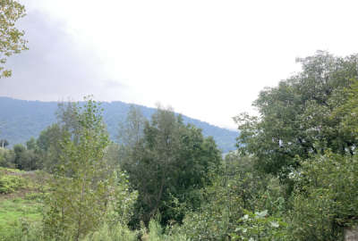 فروش زمین مسکونی شمال ۲۵۰ متر نکا هزارجریب روستای پجت