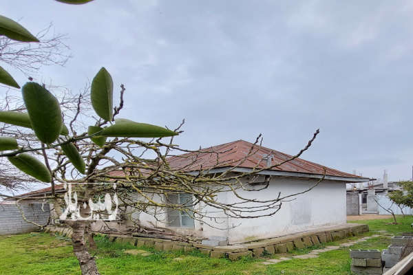 فروش زمین مسکونی باغ شمال ۳۳۵ متر بابلسر روستای صفائیه-2