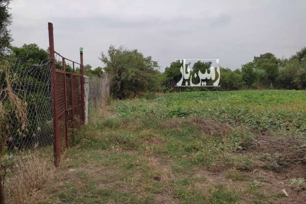 فروش زمین باغ شمال ۲۰۰ متر رستمکلا مرکز شهر-3