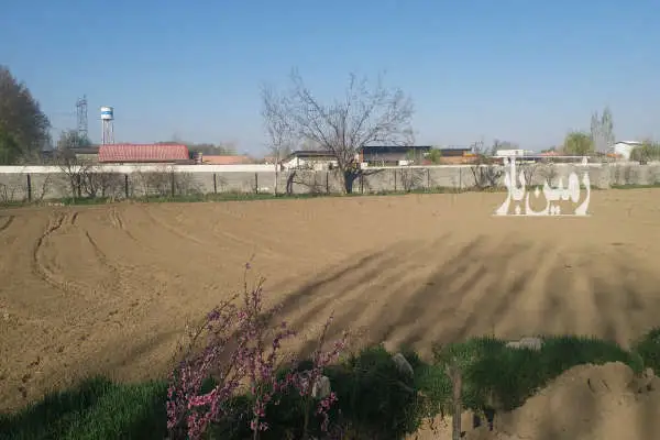 فروش زمین باغ کشاورزی البرز ۱۰۰۰ متر سعیدآباد سه راه نمکلان - تصویر 2