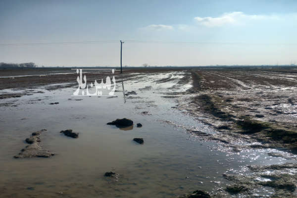 فروش زمین کشاورزی گیلان ۳۳۰۰ متر بازارجمعه روستای سیاه تن-1