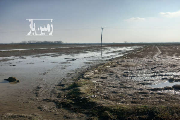 فروش زمین کشاورزی گیلان ۳۳۰۰ متر بازارجمعه روستای سیاه تن-2