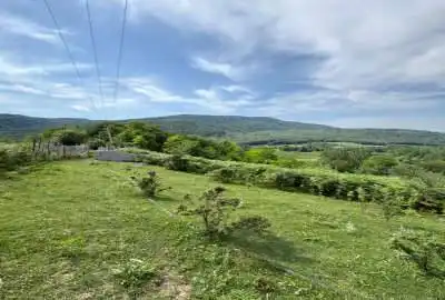 فروش زمین کشاورزی شمال ۵۶۰ متر سوادکوه روستای لاجیم