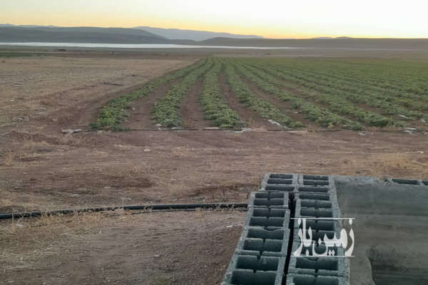 فروش زمین کشاورزی اصفهان ۵۰۰۰۰ متر سمیرم بعد از روستای گل افشان-4