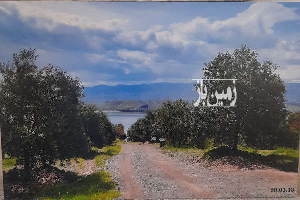 فروش زمین باغ گیلان ۴۷۵۰ متر منجیل روستای علی آباد-1