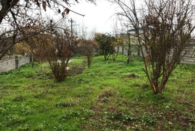 فروش زمین مسکونی شمال ۳۵۰ متر آمل