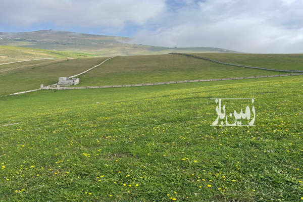 فروش زمین کشاورزی شمال ۳۰۰ متر جاده کلاردشت مرزن آباد شهرک قو-2