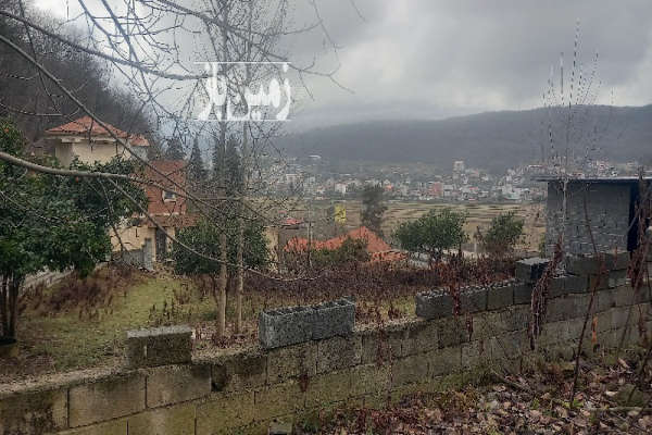 فروش زمین مسکونی شمال ۵۸۰ متر شیرگاه روستای چالی-1