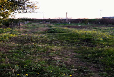 فروش زمین مسکونی شمال ۲۰۰ متر ساری روستای هولا