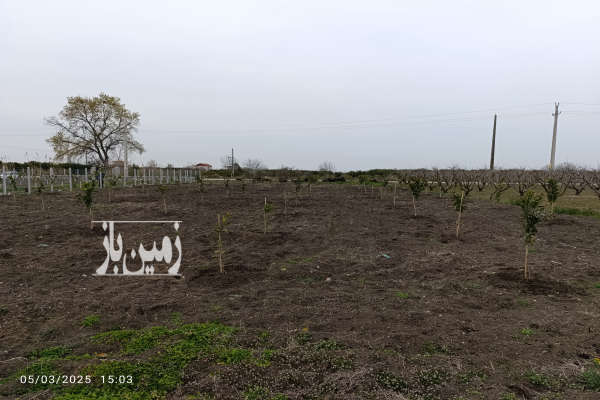 فروش زمین باغ شمال ۱۳۶۳ متر نکا طوسکلا-2