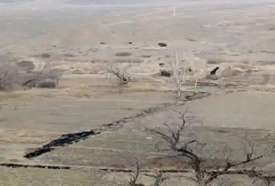 فروش زمین کشاورزی اصفهان ۲۵۰۰ متر نطنز روستای گل اباد