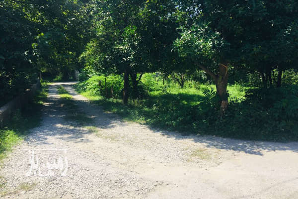 فروش زمین مسکونی شمال ۱۱۶۰ متر نوشهر روستای ‌نجارده-1