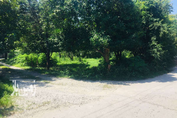 فروش زمین مسکونی شمال ۱۱۶۰ متر نوشهر روستای ‌نجارده-3