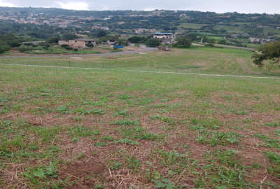 فروش زمین شمال ۲۳۰۰ متر ساری روستای امره دهکده جنگلی زمانی