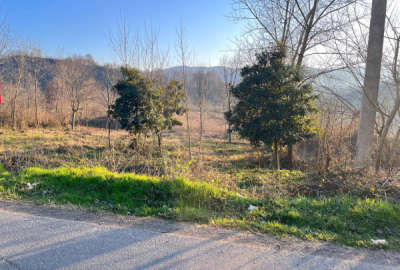 فروش زمین مسکونی باغ گیلان ۱۹۹۵ متر لاهیجان روستای دره جیر
