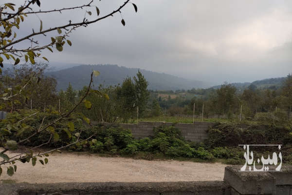 فروش زمین باغ شمال ۱۲۳۰ متر ساری روستای امره-4