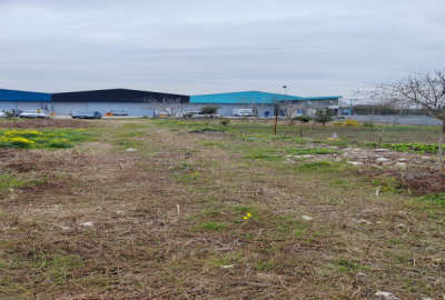 فروش زمین مسکونی شمال ۱۶۸ متر ساری جاده جویبار