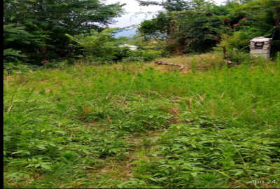 فروش زمین مسکونی گیلان ۷۰۰ متر تالش روستای کنده سر