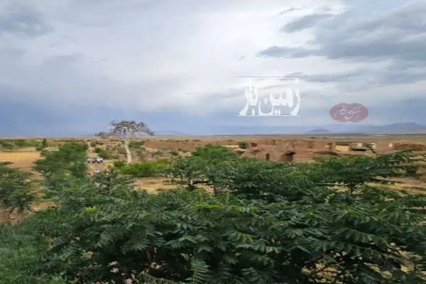 فروش زمین کشاورزی باغی اصفهان ۱۴ هکتار کاشان - تصویر 4